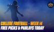 Free College Football Picks and Parlays For Week Fourteen, 2023